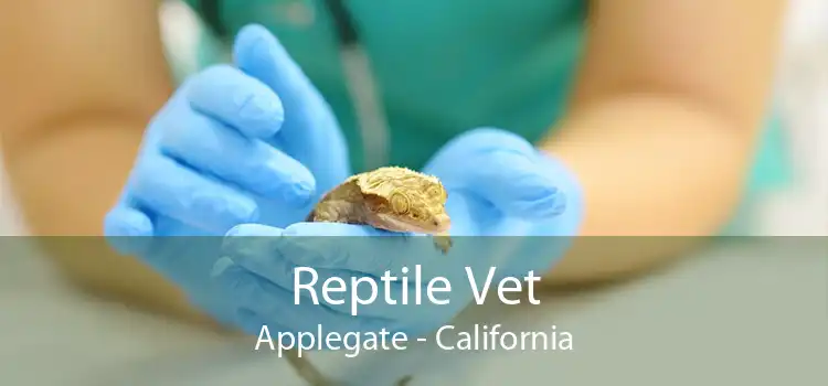 Reptile Vet Applegate - California
