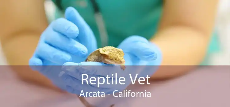 Reptile Vet Arcata - California