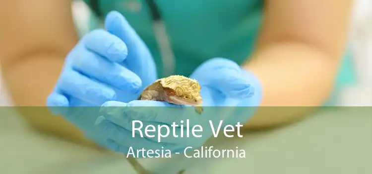 Reptile Vet Artesia - California