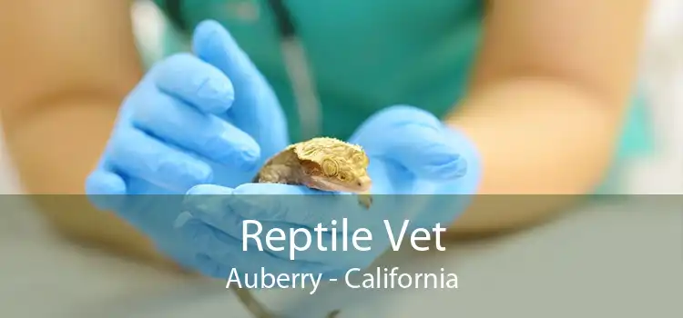Reptile Vet Auberry - California