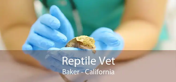 Reptile Vet Baker - California