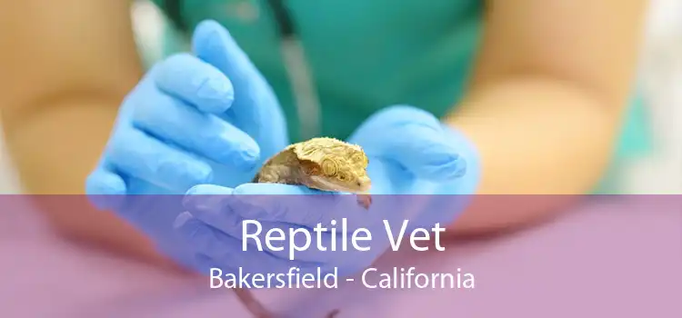 Reptile Vet Bakersfield - California