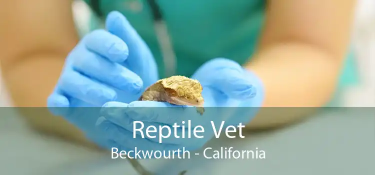 Reptile Vet Beckwourth - California