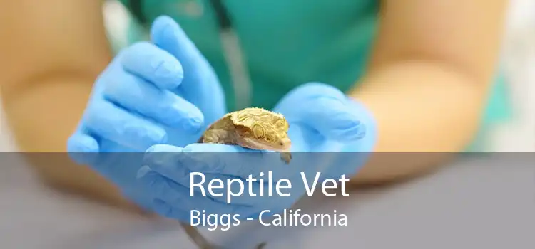 Reptile Vet Biggs - California