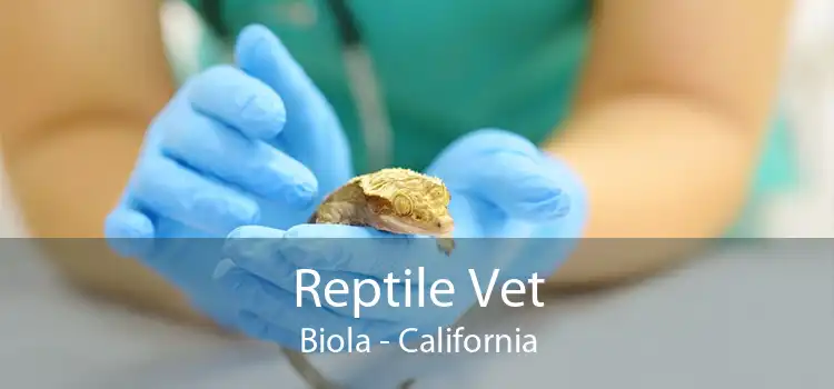Reptile Vet Biola - California