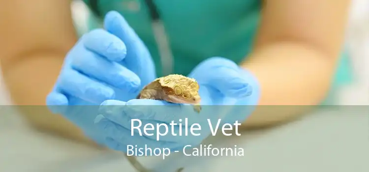Reptile Vet Bishop - California