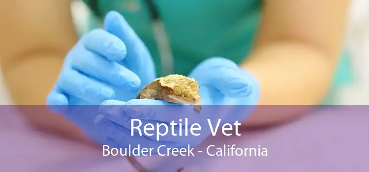 Reptile Vet Boulder Creek - California