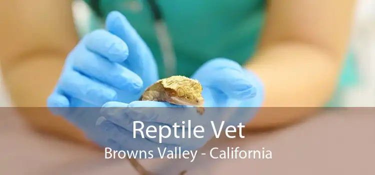 Reptile Vet Browns Valley - California