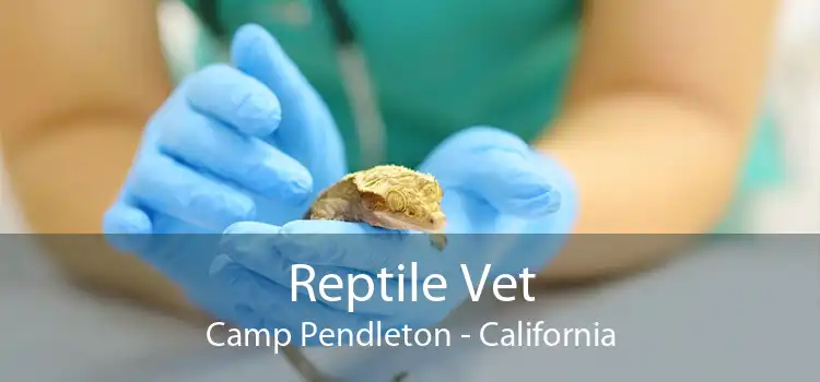Reptile Vet Camp Pendleton - California
