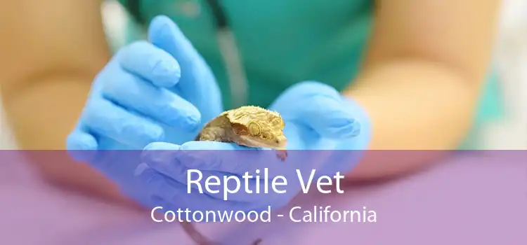 Reptile Vet Cottonwood - California