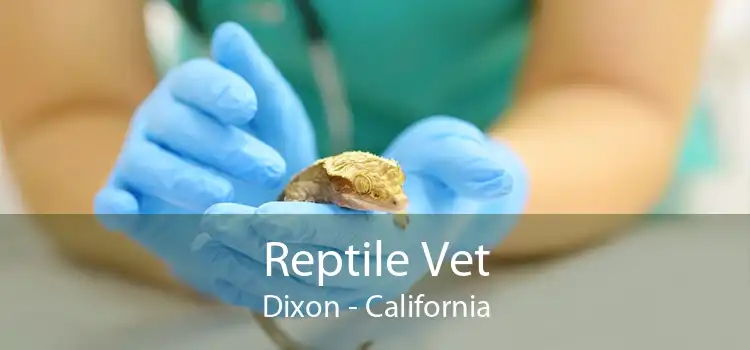 Reptile Vet Dixon - California