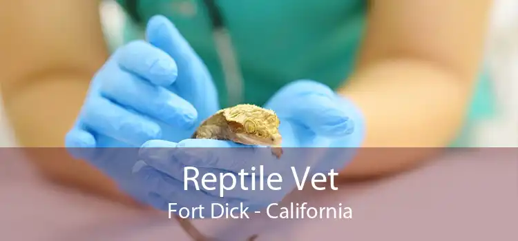 Reptile Vet Fort Dick - California