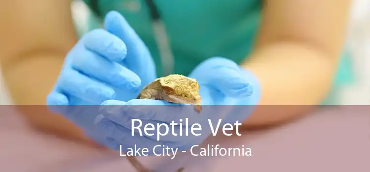 Reptile Vet Lake City - California