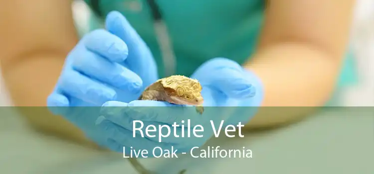 Reptile Vet Live Oak - California