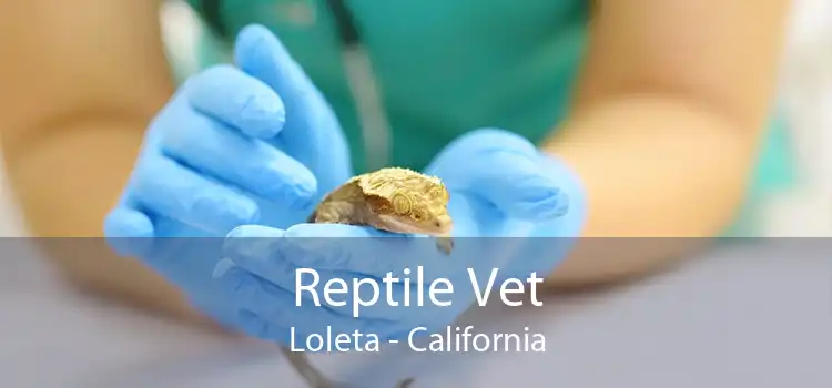 Reptile Vet Loleta - California