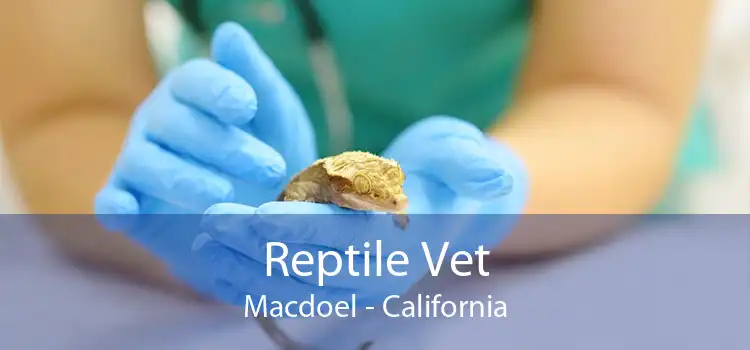 Reptile Vet Macdoel - California