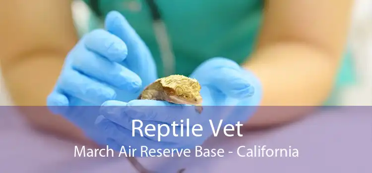 Reptile Vet March Air Reserve Base - California