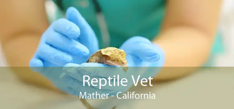 Reptile Vet Mather - California