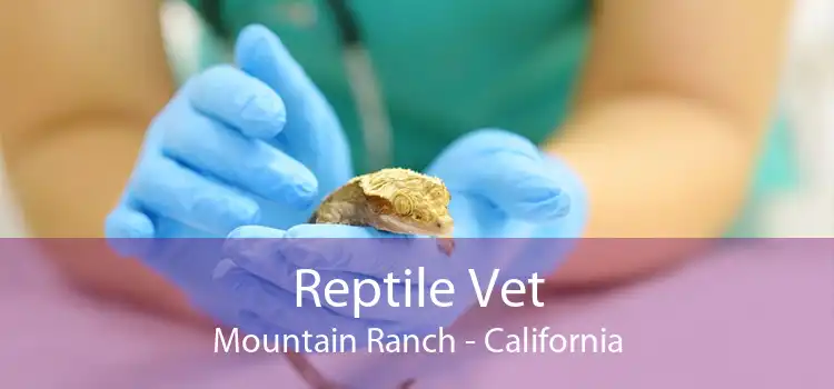 Reptile Vet Mountain Ranch - California