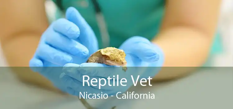 Reptile Vet Nicasio - California