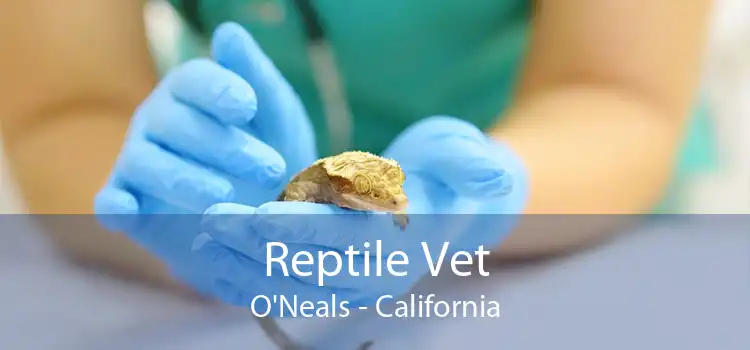 Reptile Vet O'Neals - California