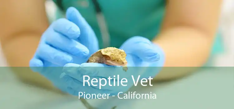 Reptile Vet Pioneer - California