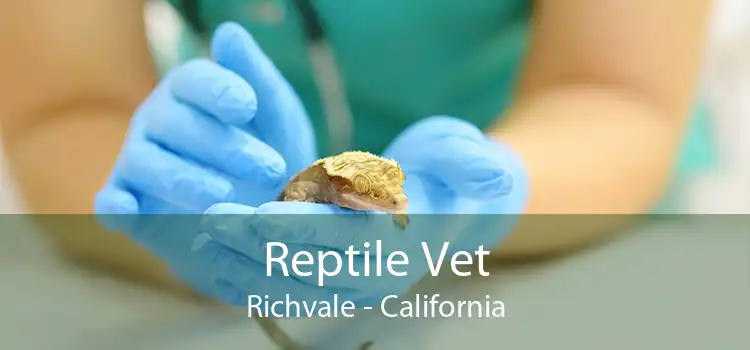 Reptile Vet Richvale - California