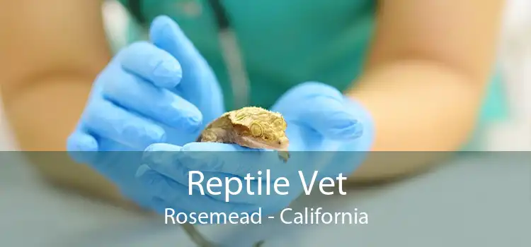 Reptile Vet Rosemead - California