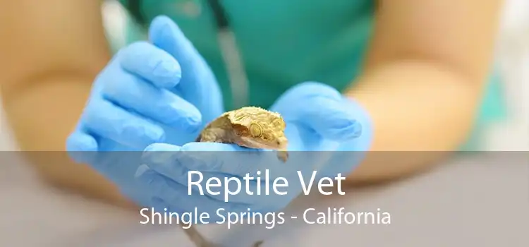 Reptile Vet Shingle Springs - California