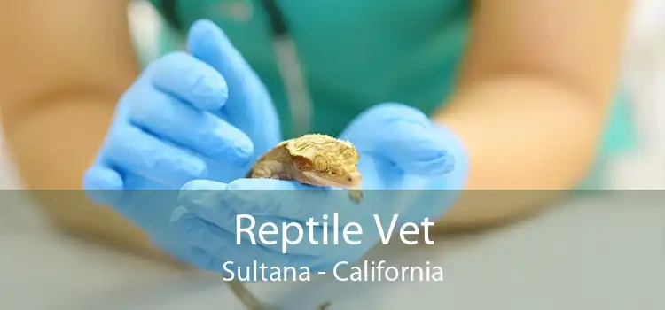 Reptile Vet Sultana - California