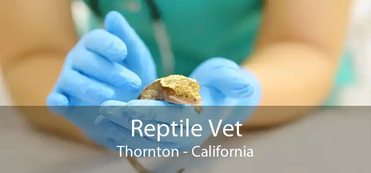 Reptile Vet Thornton - California