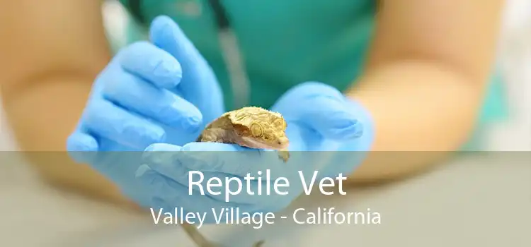 Reptile Vet Valley Village - California