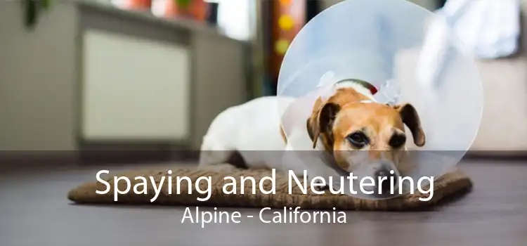 Spaying and Neutering Alpine - California