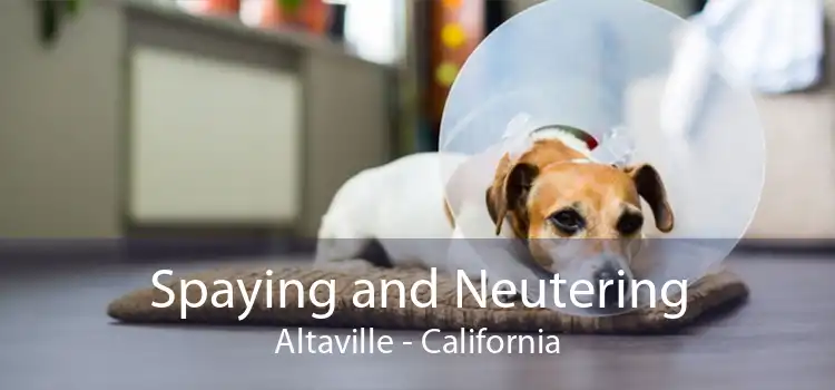 Spaying and Neutering Altaville - California
