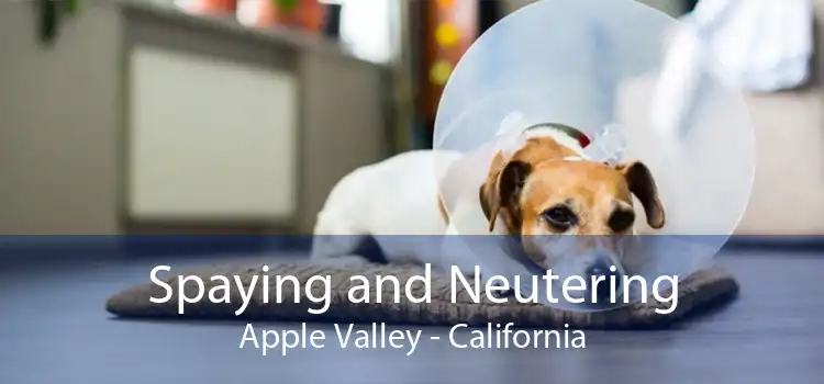 Spaying and Neutering Apple Valley - California