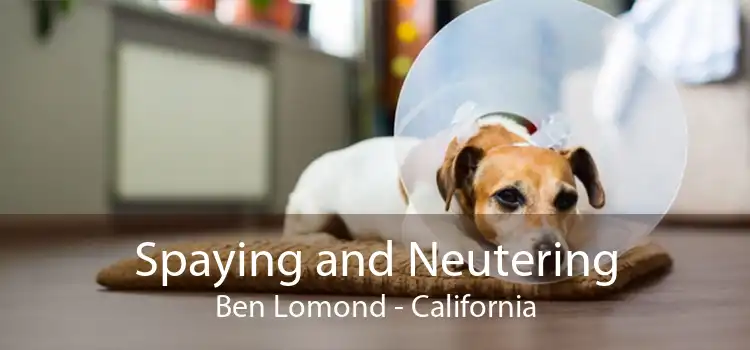 Spaying and Neutering Ben Lomond - California