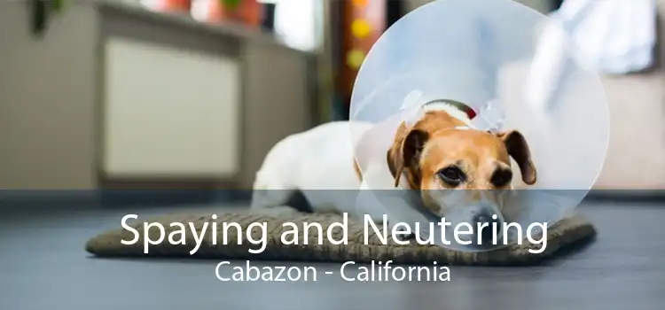 Spaying and Neutering Cabazon - California