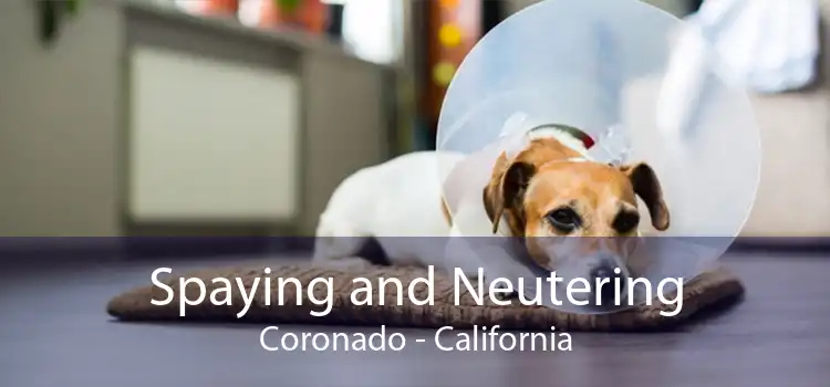 Spaying and Neutering Coronado - California