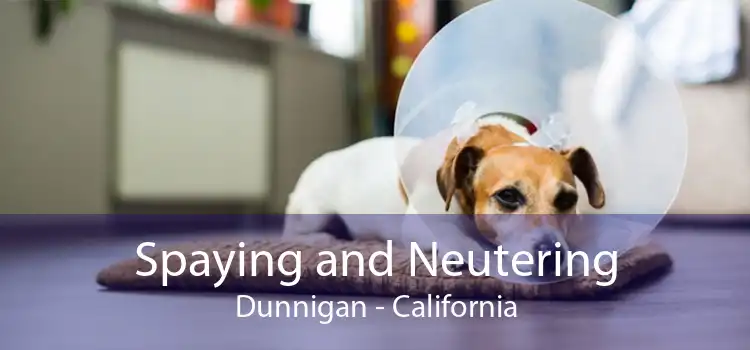 Spaying and Neutering Dunnigan - California