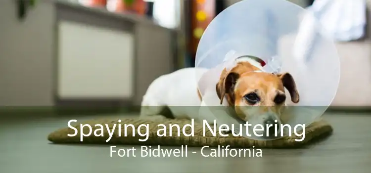 Spaying and Neutering Fort Bidwell - California