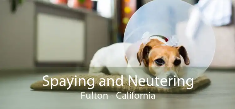 Spaying and Neutering Fulton - California
