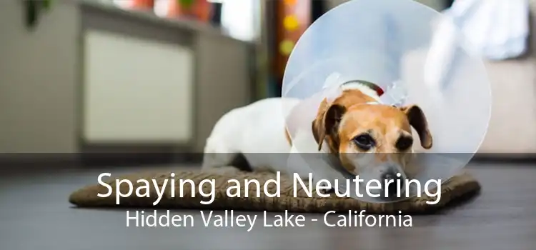 Spaying and Neutering Hidden Valley Lake - California