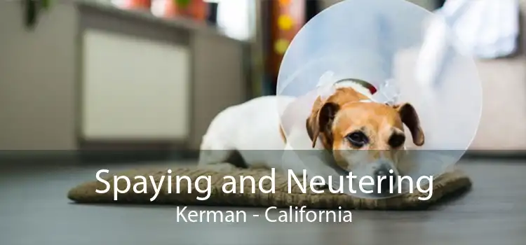 Spaying and Neutering Kerman - California