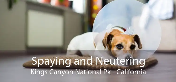 Spaying and Neutering Kings Canyon National Pk - California