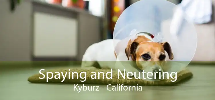 Spaying and Neutering Kyburz - California
