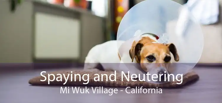Spaying and Neutering Mi Wuk Village - California