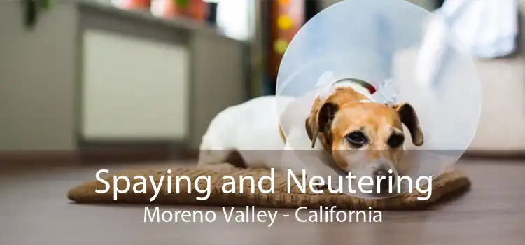 Spaying and Neutering Moreno Valley - California