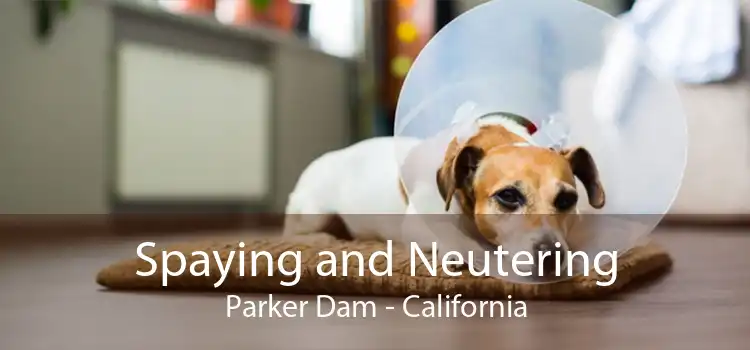 Spaying and Neutering Parker Dam - California