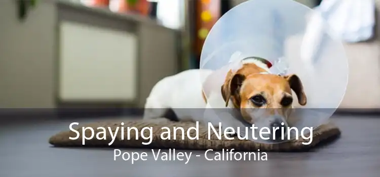 Spaying and Neutering Pope Valley - California
