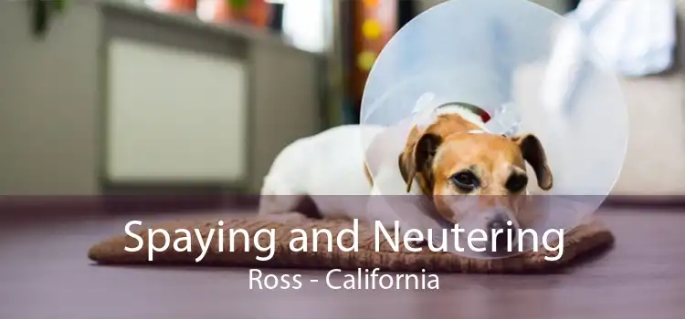 Spaying and Neutering Ross - California